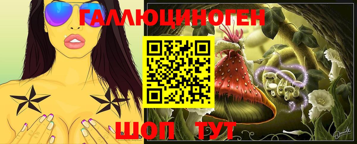 Галлюциногенные грибы Psilocybe Великие Луки