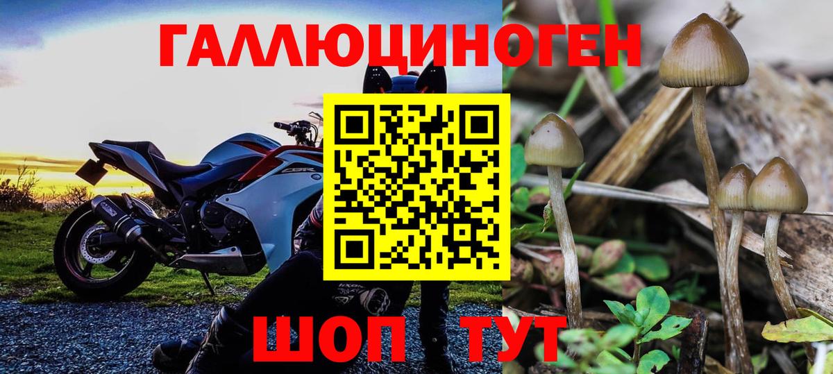 Псилоцибиновые грибы ЛСД  даркнет сайт  Вход с VPN  Великие Луки  Псилоцибиновые грибы прущие грибы 